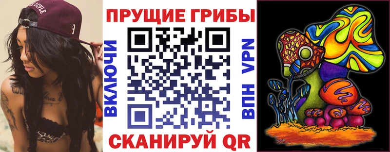 Галлюциногенные грибы Cubensis  как найти закладки  Карабаш 